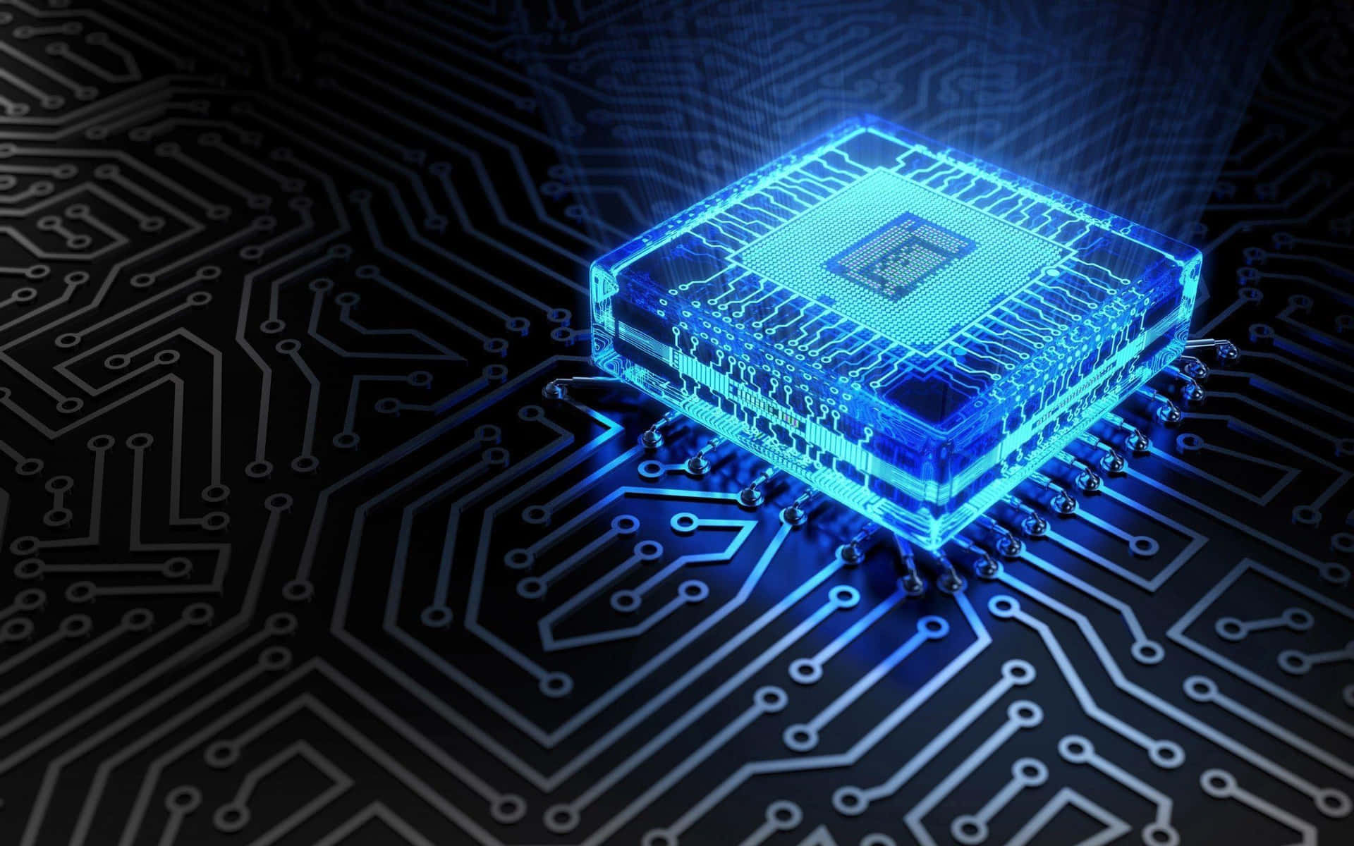 Computer Science Courses